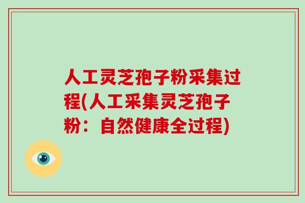 人工灵芝孢子粉采集过程(人工采集灵芝孢子粉：自然健康全过程)