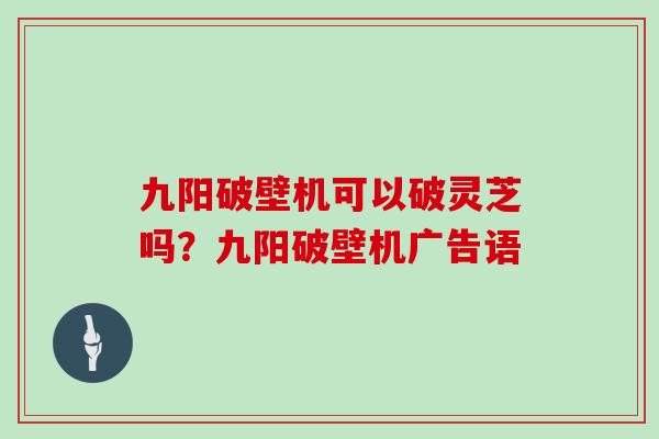 九阳破壁机可以破灵芝吗？九阳破壁机广告语