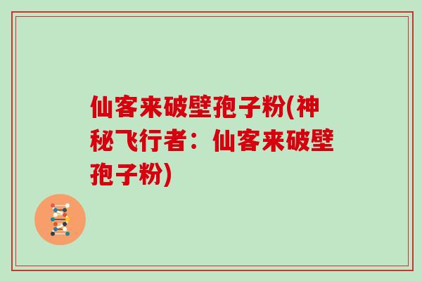 仙客来破壁孢子粉(神秘飞行者：仙客来破壁孢子粉)