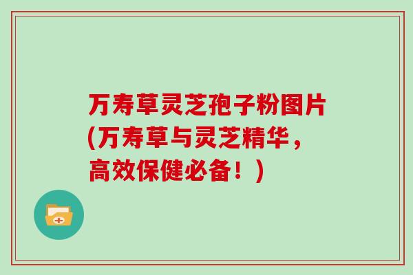 万寿草灵芝孢子粉图片(万寿草与灵芝精华，高效保健必备！)