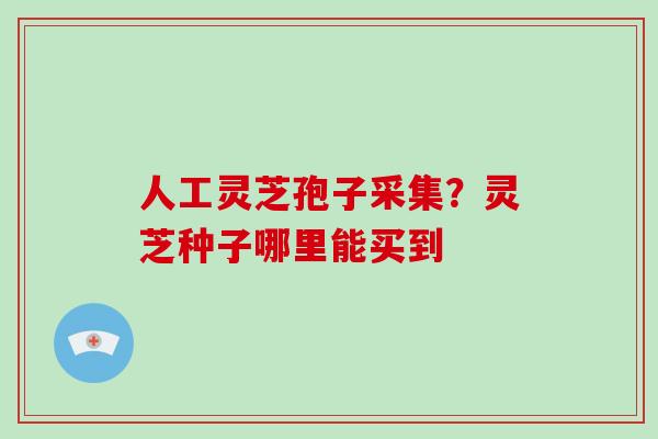 人工灵芝孢子采集？灵芝种子哪里能买到