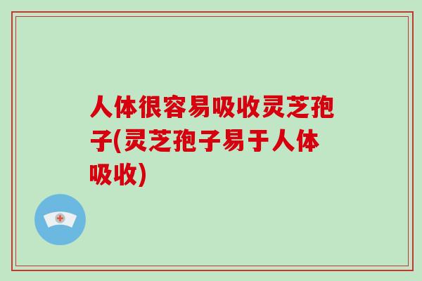 人体很容易吸收灵芝孢子(灵芝孢子易于人体吸收)