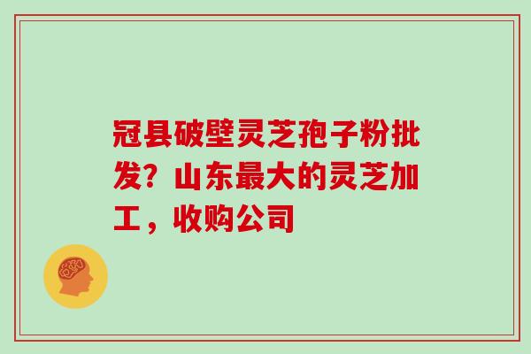 冠县破壁灵芝孢子粉批发？山东最大的灵芝加工，收购公司