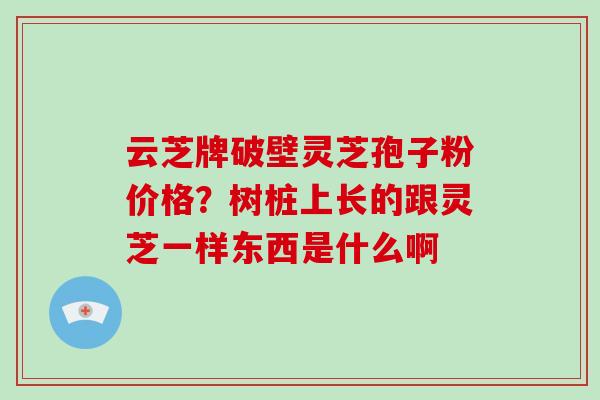 云芝牌破壁灵芝孢子粉价格？树桩上长的跟灵芝一样东西是什么啊