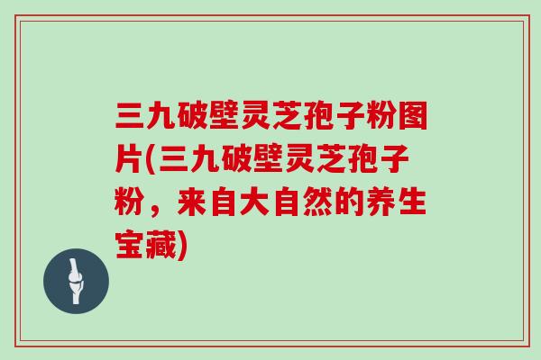 三九破壁灵芝孢子粉图片(三九破壁灵芝孢子粉，来自大自然的养生宝藏)