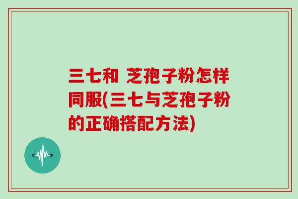 三七和 芝孢子粉怎样同服(三七与芝孢子粉的正确搭配方法)