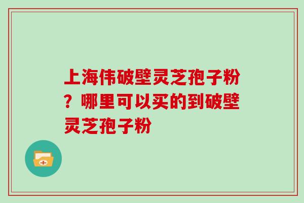 上海伟破壁灵芝孢子粉？哪里可以买的到破壁灵芝孢子粉