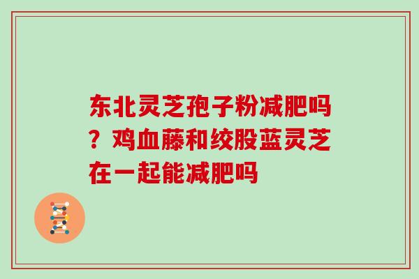 东北灵芝孢子粉减肥吗？鸡血藤和绞股蓝灵芝在一起能减肥吗