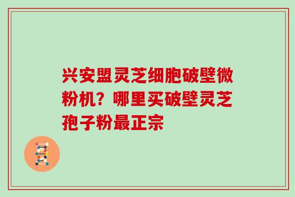 兴安盟灵芝细胞破壁微粉机？哪里买破壁灵芝孢子粉最正宗