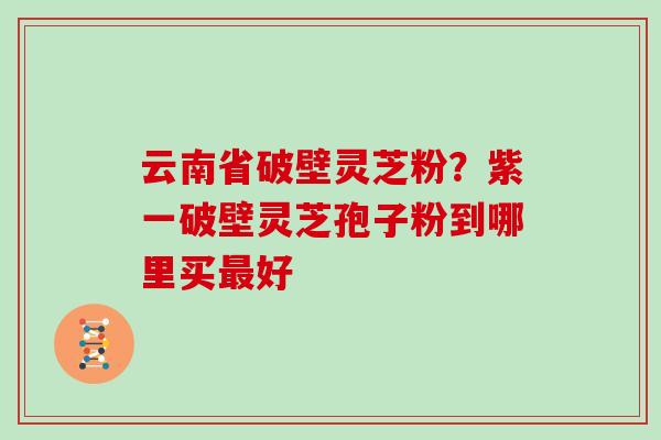 云南省破壁灵芝粉？紫一破壁灵芝孢子粉到哪里买最好