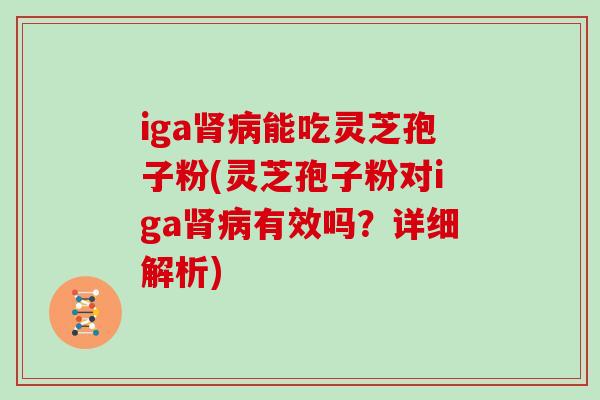 iga肾病能吃灵芝孢子粉(灵芝孢子粉对iga肾病有效吗？详细解析)