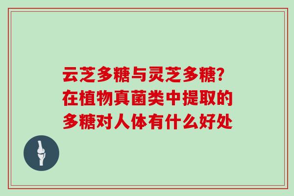 云芝多糖与灵芝多糖？在植物真菌类中提取的多糖对人体有什么好处