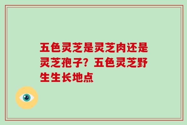 五色灵芝是灵芝肉还是灵芝孢子?五色灵芝野生生长地点-第1张图片-灵芝大师 五色灵芝是灵芝肉还是灵芝孢子?五色灵芝野生生长地点-第1张图片-灵芝大师