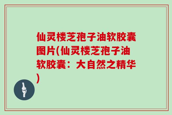 仙灵楼芝孢子油软胶囊图片(仙灵楼芝孢子油软胶囊：大自然之精华)