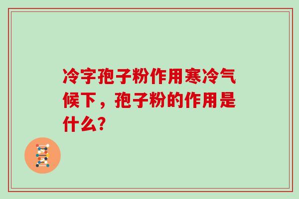 冷字孢子粉作用寒冷气候下，孢子粉的作用是什么？