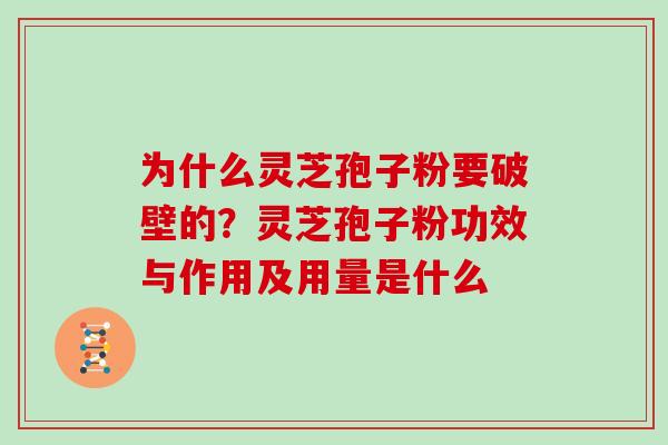 为什么灵芝孢子粉要破壁的？灵芝孢子粉功效与作用及用量是什么
