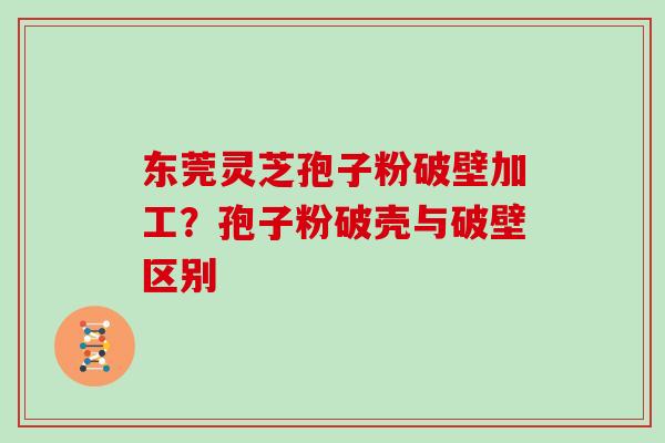 东莞灵芝孢子粉破壁加工？孢子粉破壳与破壁区别