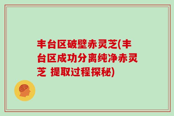 丰台区破壁赤灵芝(丰台区成功分离纯净赤灵芝 提取过程探秘)