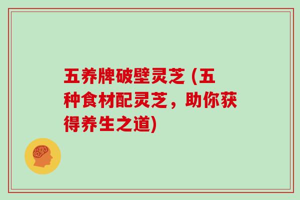 五养牌破壁灵芝 (五种食材配灵芝，助你获得养生之道)