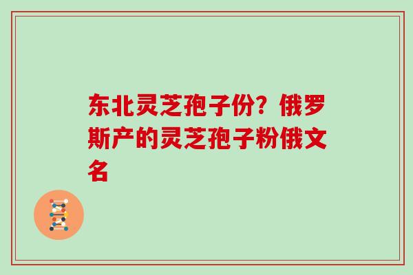 东北灵芝孢子份？俄罗斯产的灵芝孢子粉俄文名