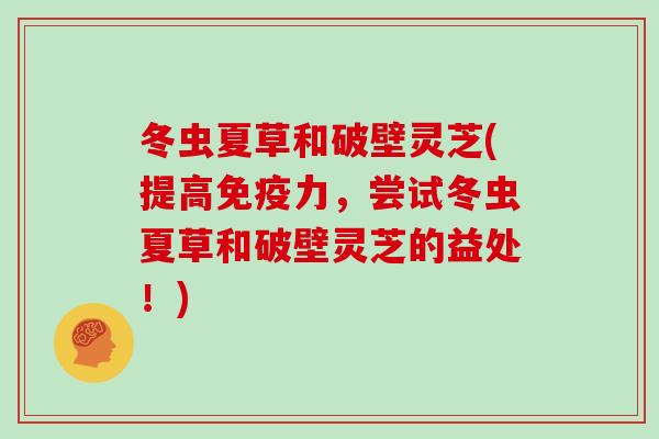 冬虫夏草和破壁灵芝(提高免疫力，尝试冬虫夏草和破壁灵芝的益处！)