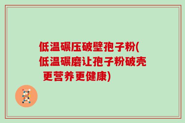 低温碾压破壁孢子粉(低温碾磨让孢子粉破壳 更营养更健康)