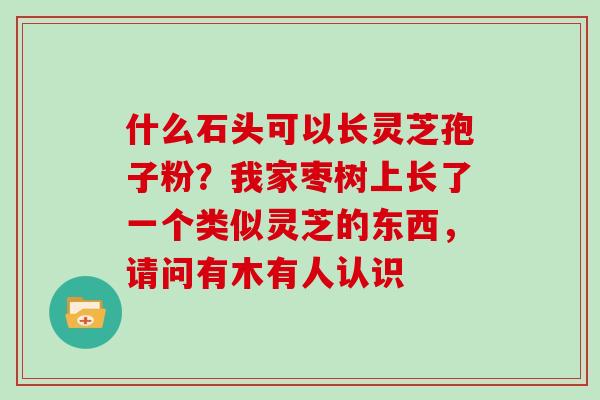 什么石头可以长灵芝孢子粉？我家枣树上长了一个类似灵芝的东西，请问有木有人认识