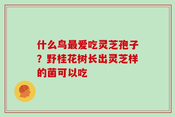 什么鸟最爱吃灵芝孢子？野桂花树长出灵芝样的菌可以吃