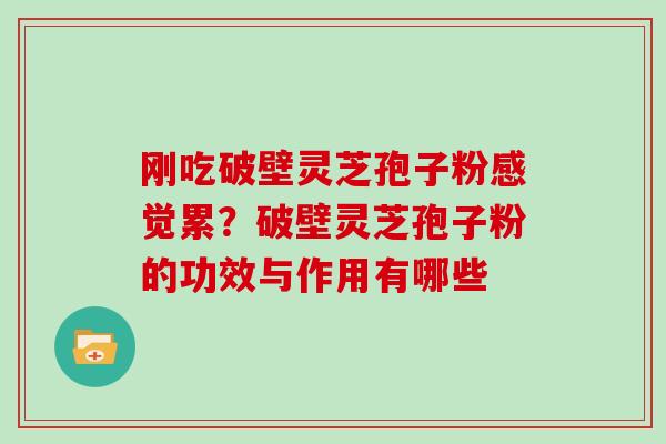 刚吃破壁灵芝孢子粉感觉累？破壁灵芝孢子粉的功效与作用有哪些