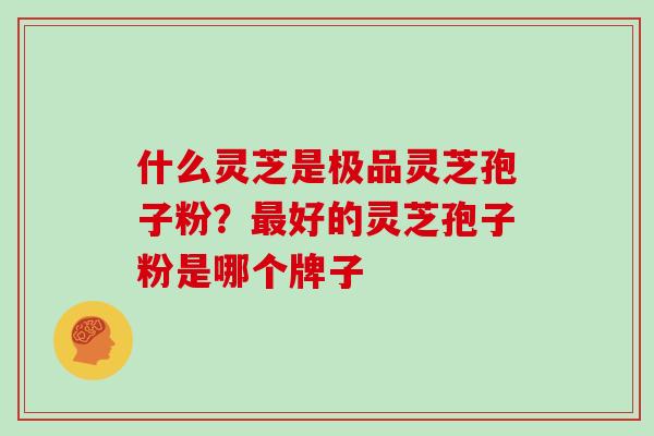 什么灵芝是极品灵芝孢子粉？最好的灵芝孢子粉是哪个牌子