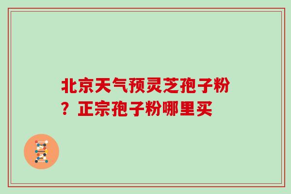 北京天气预灵芝孢子粉？正宗孢子粉哪里买