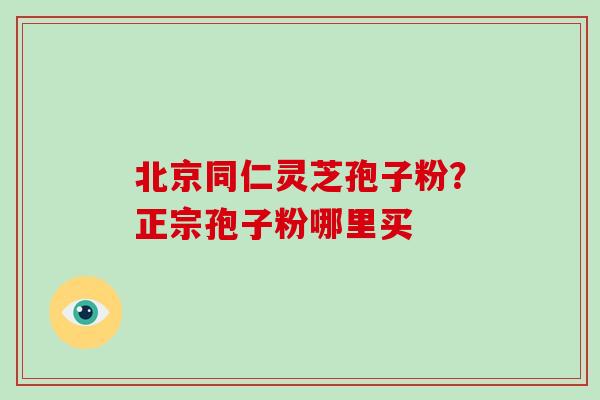 北京同仁灵芝孢子粉？正宗孢子粉哪里买