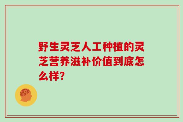 野生灵芝人工种植的灵芝营养滋补价值到底怎么样？