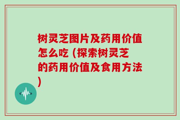 树灵芝图片及药用价值怎么吃 (探索树灵芝的药用价值及食用方法)