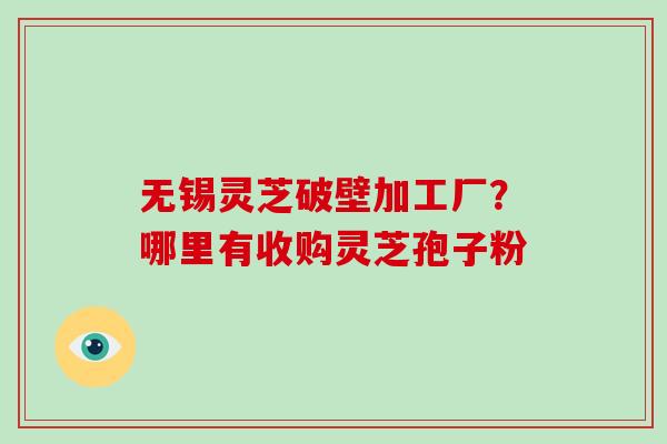 无锡灵芝破壁加工厂？哪里有收购灵芝孢子粉