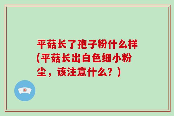 平菇长了孢子粉什么样(平菇长出白色细小粉尘，该注意什么？)
