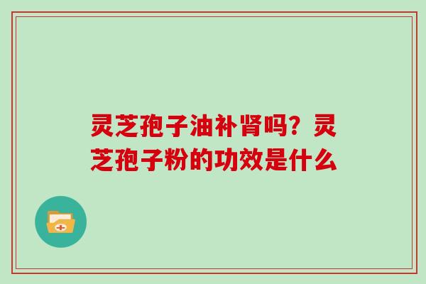 灵芝孢子油补肾吗？灵芝孢子粉的功效是什么