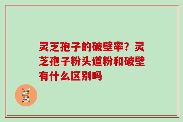 灵芝孢子的破壁率？灵芝孢子粉头道粉和破壁有什么区别吗