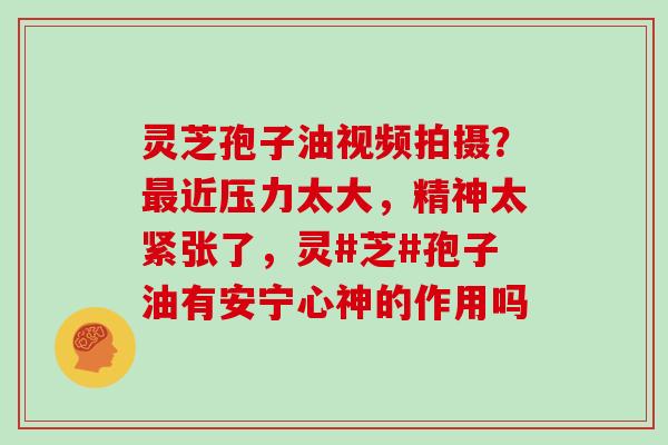 灵芝孢子油视频拍摄？最近压力太大，精神太紧张了，灵#芝#孢子油有安宁心神的作用吗