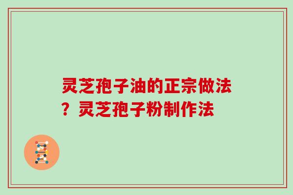 灵芝孢子油的正宗做法？灵芝孢子粉制作法