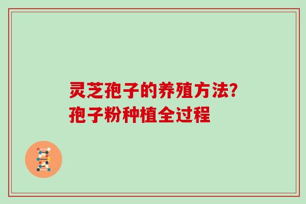 灵芝孢子的养殖方法？孢子粉种植全过程