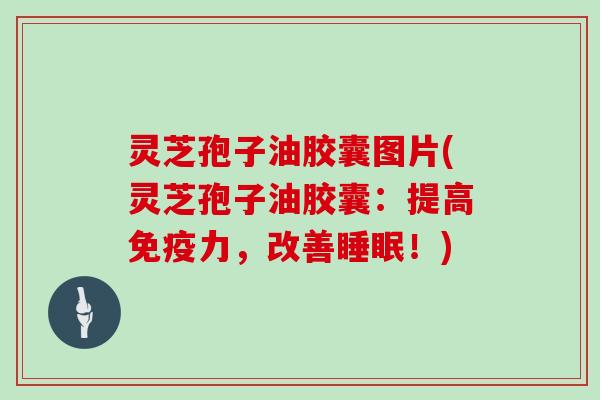 灵芝孢子油胶囊图片(灵芝孢子油胶囊：提高免疫力，改善睡眠！)