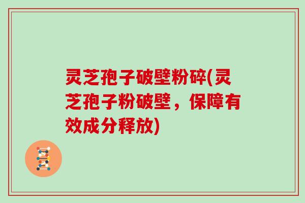 灵芝孢子破壁粉碎(灵芝孢子粉破壁，保障有效成分释放)