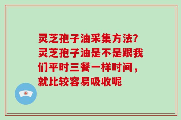 灵芝孢子油采集方法？灵芝孢子油是不是跟我们平时三餐一样时间，就比较容易吸收呢