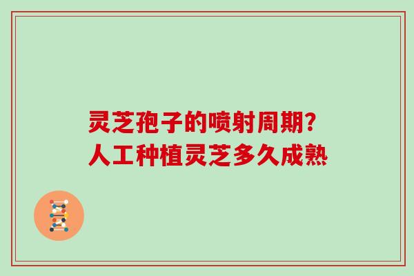 灵芝孢子的喷射周期？人工种植灵芝多久成熟