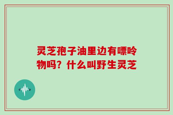 灵芝孢子油里边有嘌呤物吗？什么叫野生灵芝