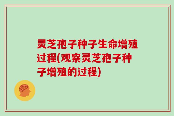 灵芝孢子种子生命增殖过程(观察灵芝孢子种子增殖的过程)