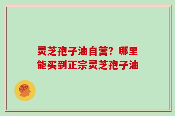 灵芝孢子油自营？哪里能买到正宗灵芝孢子油