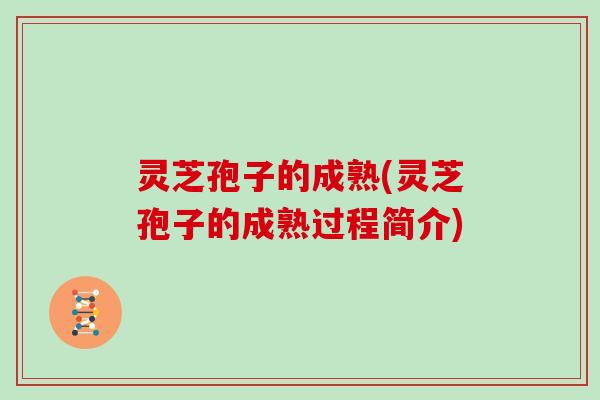 灵芝孢子的成熟(灵芝孢子的成熟过程简介)