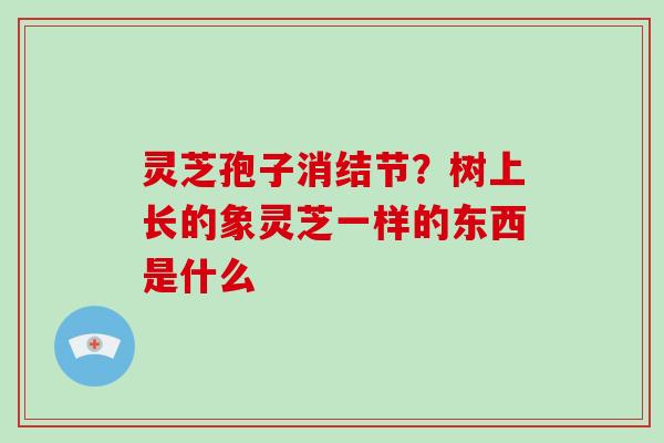 灵芝孢子消结节？树上长的象灵芝一样的东西是什么